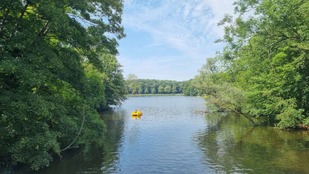 Amsterdamse Bos