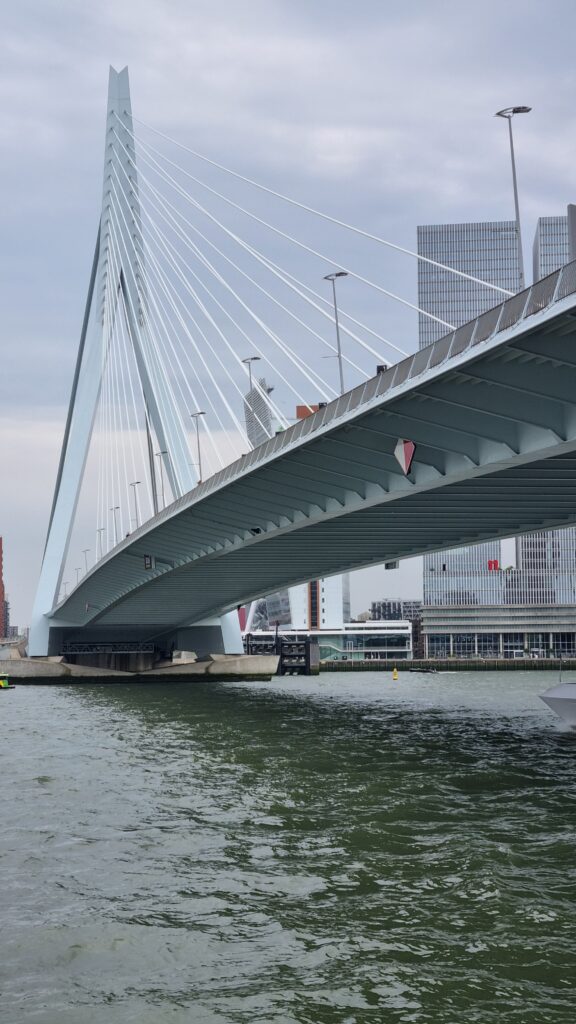 Erasmusbrug Rotterdam