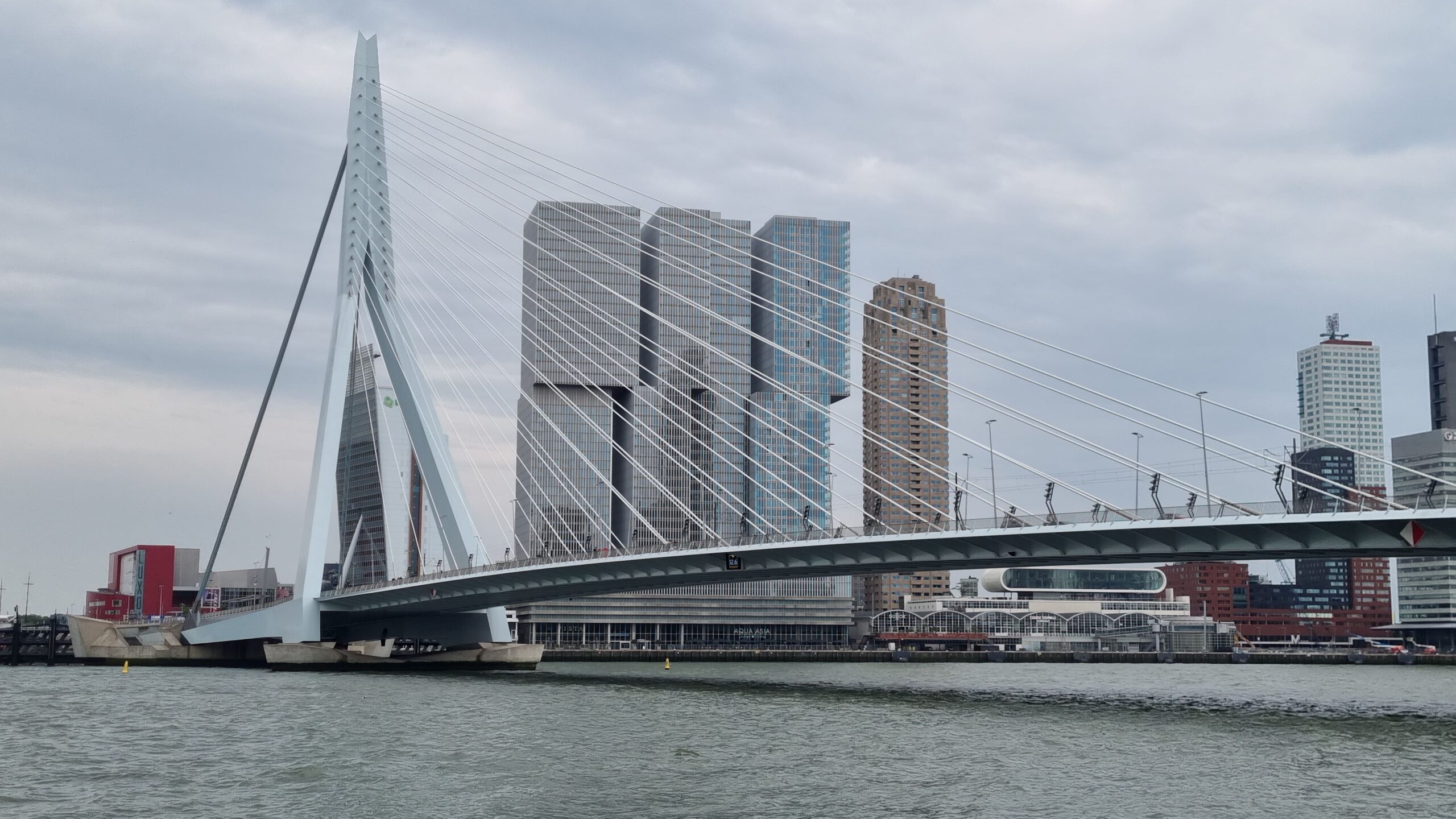 Erasmusbrug Rotterdam