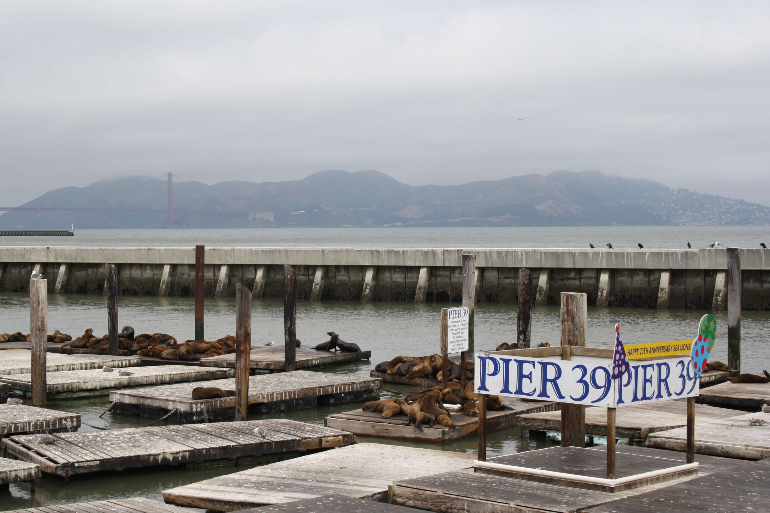 Pier 39 San Francisco